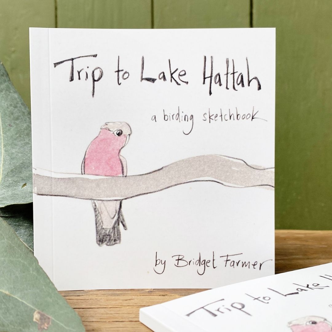 Trip to Lake Hattah - Artist Minibook