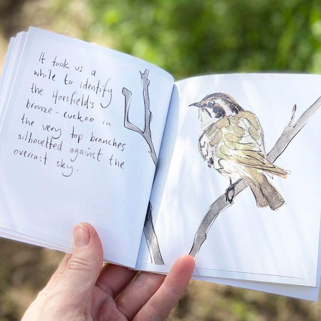 Trip to Lake Hattah - Artist Minibook