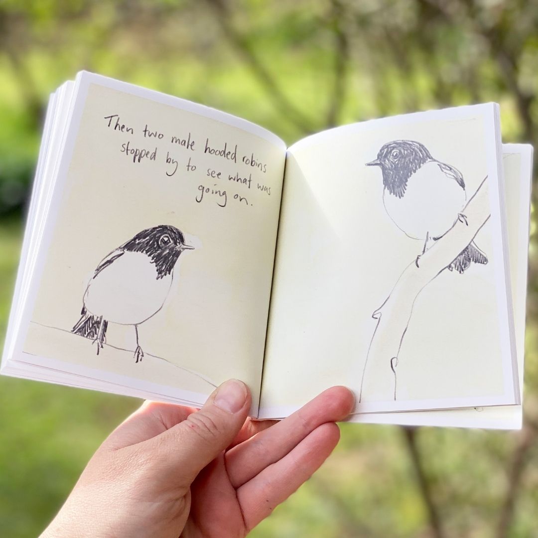 Trip to Lake Hattah - Artist Minibook