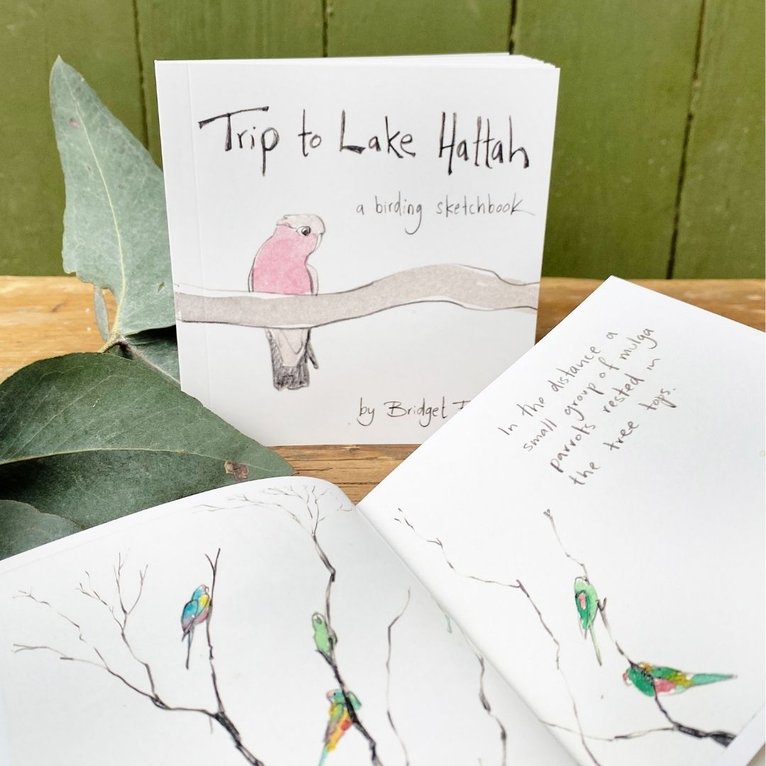 Trip to Lake Hattah - Artist Minibook
