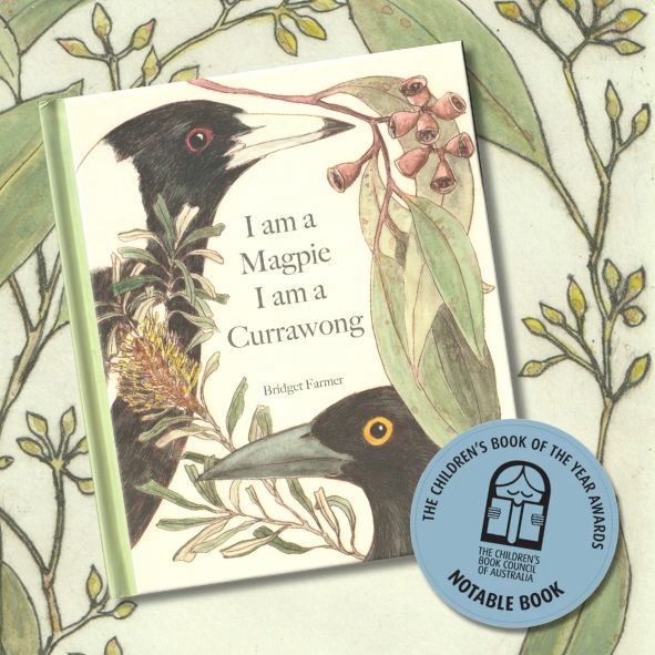 I am a Magpie I am a Currawong - A child's first bird book -CBCA 2025 Notables List