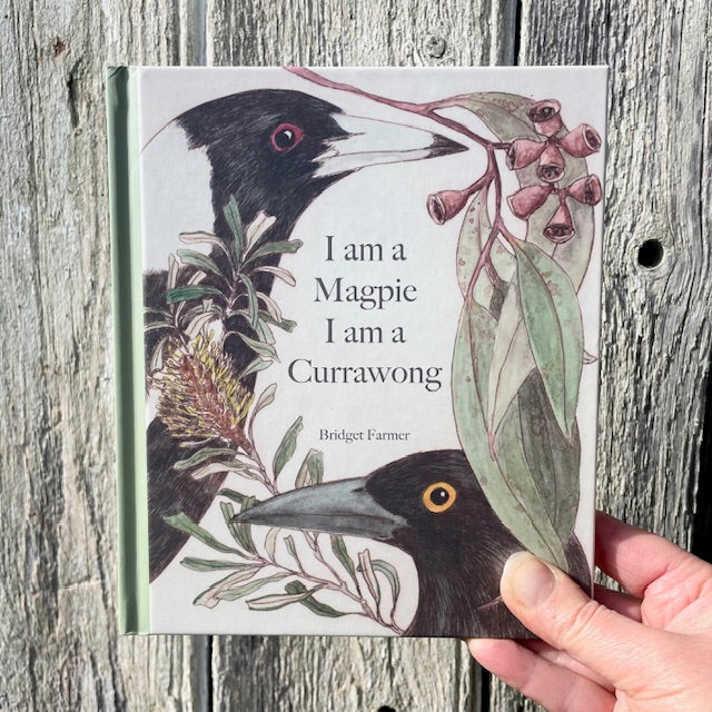 I am a Magpie I am a Currawong - A child's first bird book -CBCA 2025 Notables List