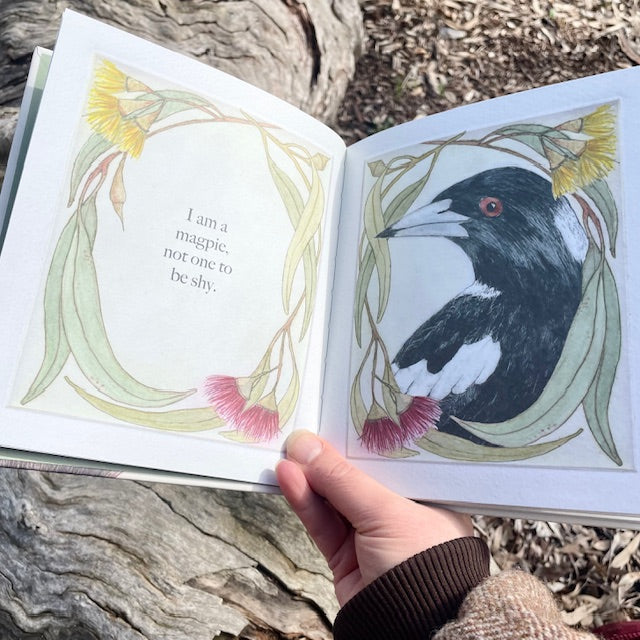 PREORDER ~ I am a Magpie I am a Currawong - A child's first bird book ~ PREORDER