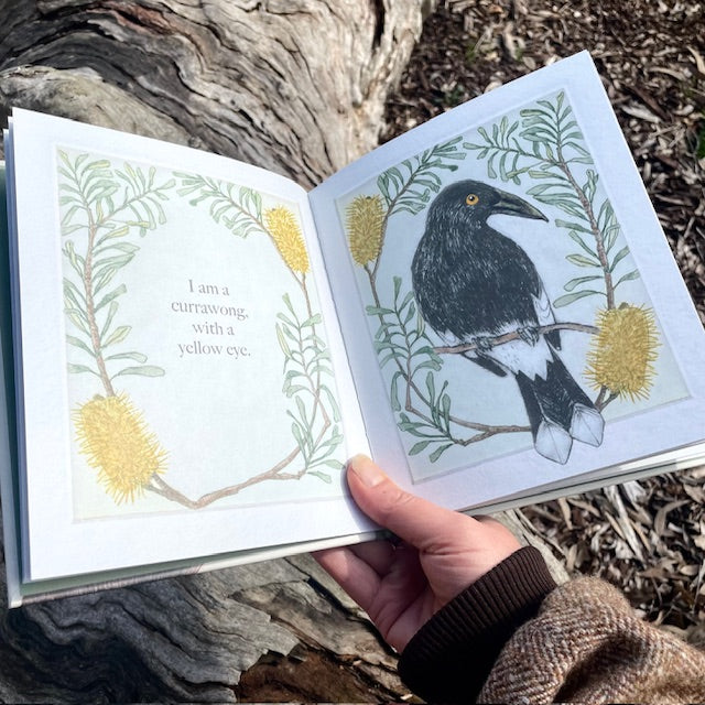 PREORDER ~ I am a Magpie I am a Currawong - A child's first bird book ~ PREORDER