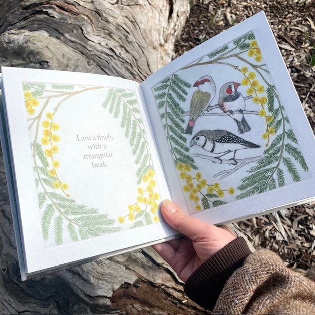 PREORDER ~ I am a Magpie I am a Currawong - A child's first bird book ~ PREORDER