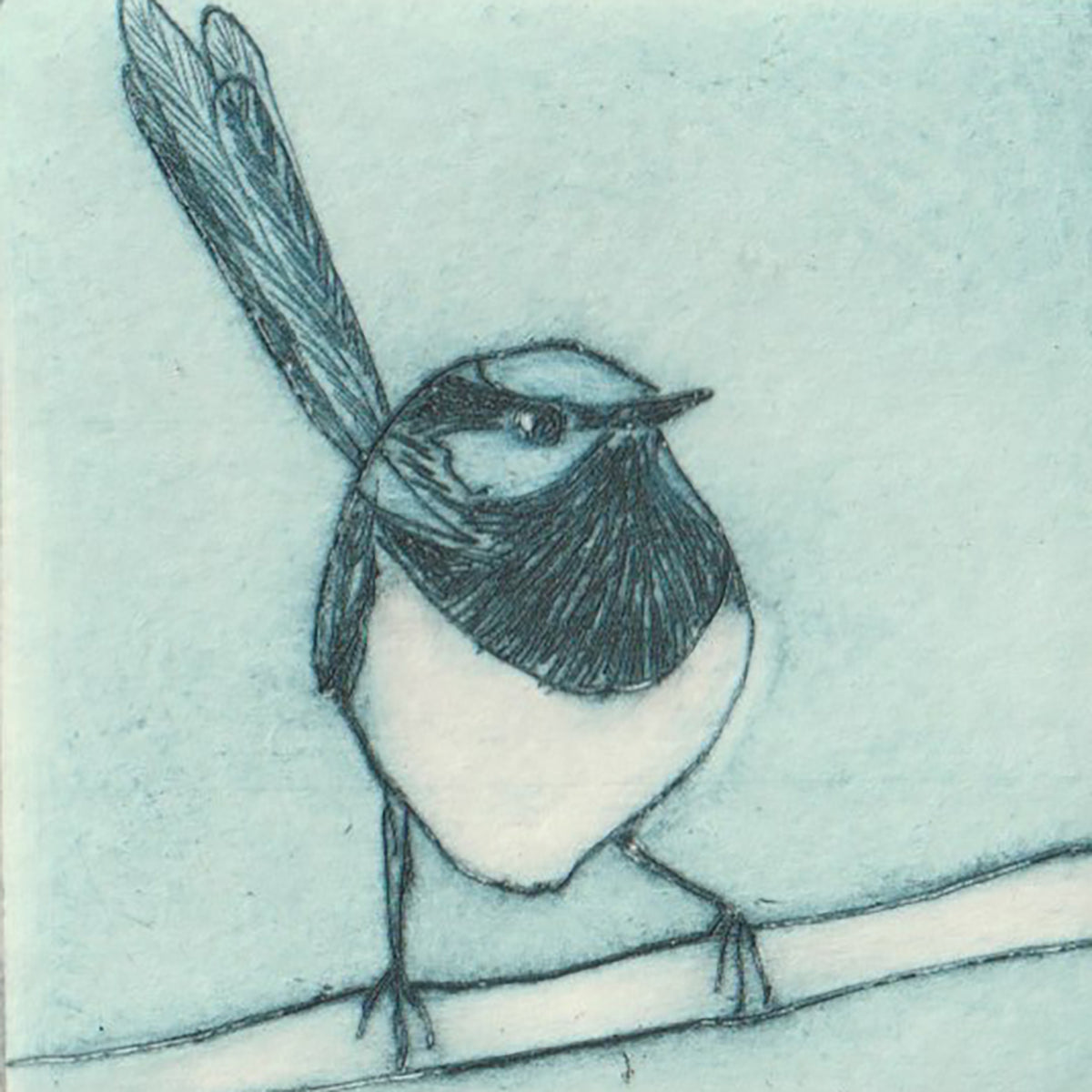 Original Etching - Male Superb Fairywren I