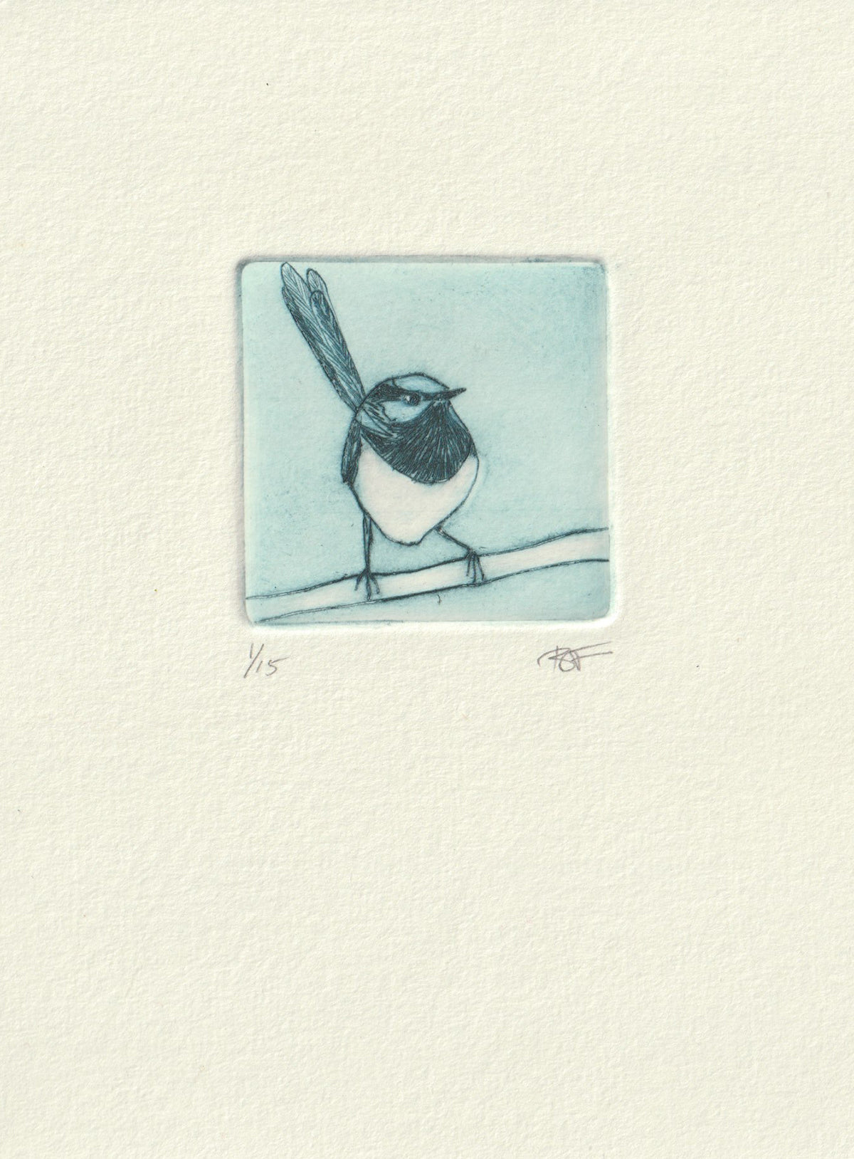 Original Etching - Male Superb Fairywren I