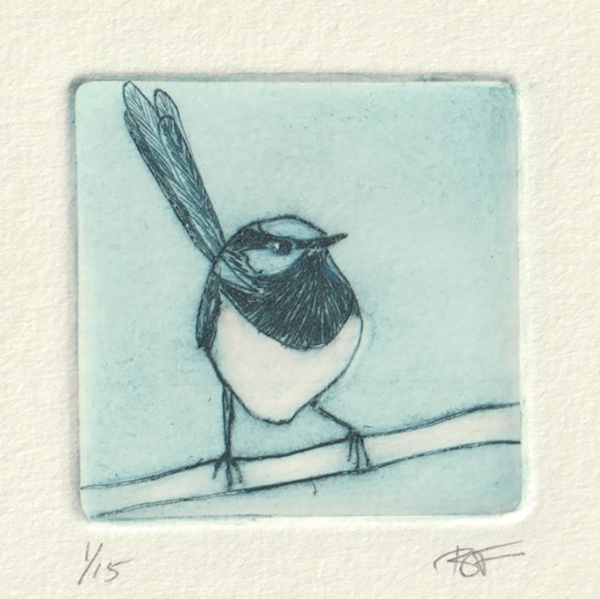 Original Etching - Male Superb Fairywren I