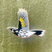 New Holland Honeyeater in flight pin on green background