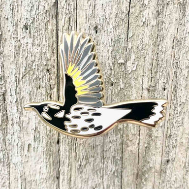 New Holland Honeyeater in flight pin on wooden backgrouns