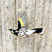 New Holland Honeyeater in flight pin on wooden backgrouns