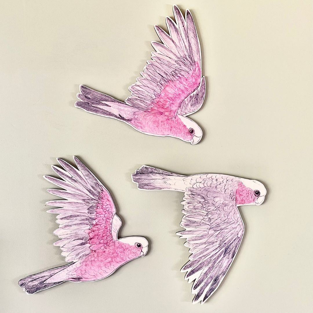 PREORDER NOW: Think Pink! Galah Gift Pack