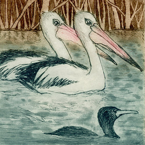 Two pelicans swimming in water with a cormorant in the foreground, surrounded by reeds.