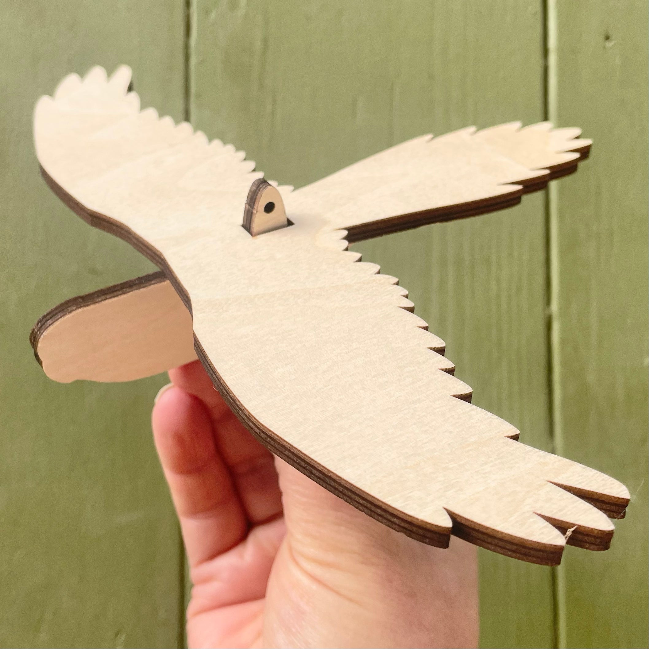 Paint-a-Parrot Craft Kit - Create Your Own Bird Mobile