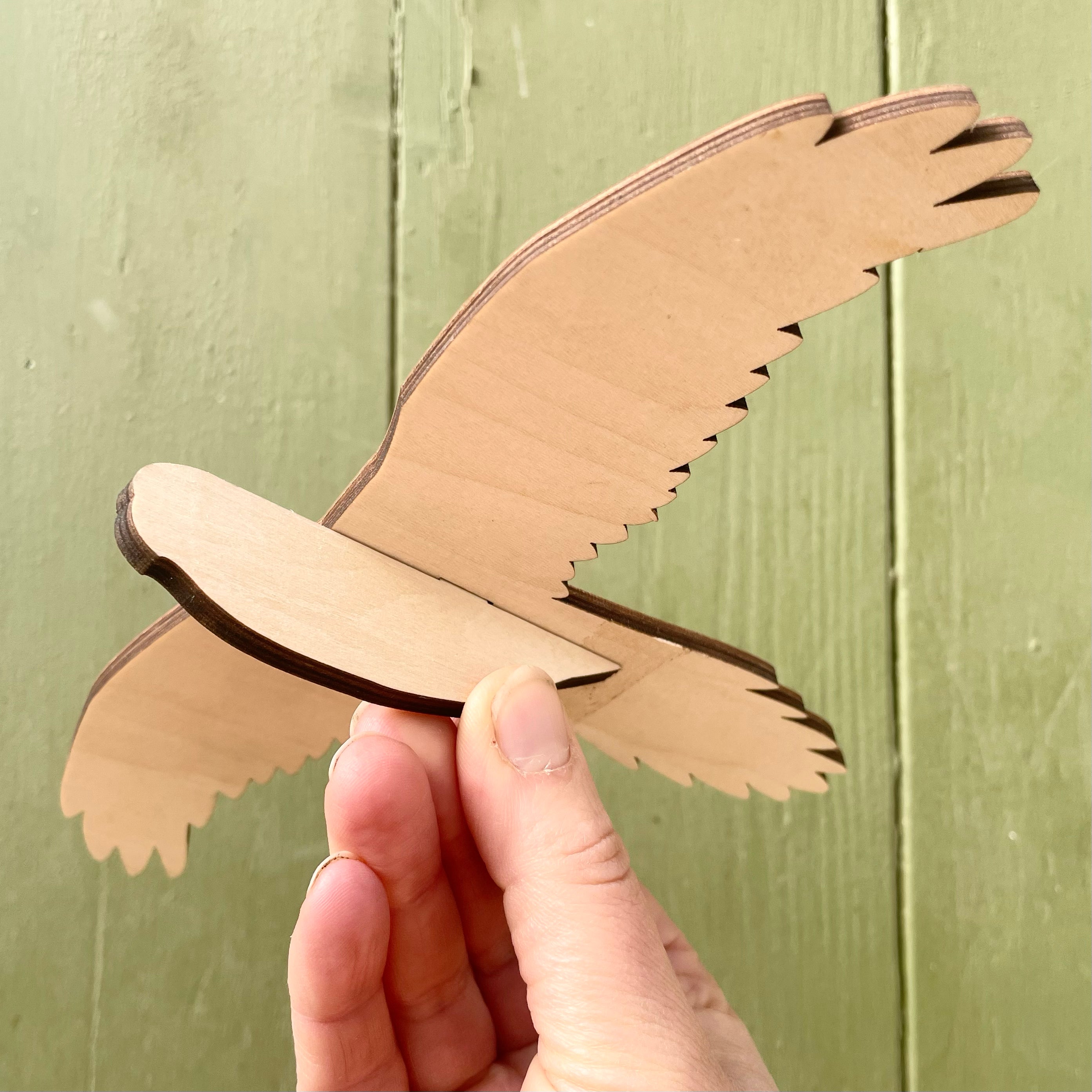 Paint-a-Parrot Craft Kit - Create Your Own Bird Mobile