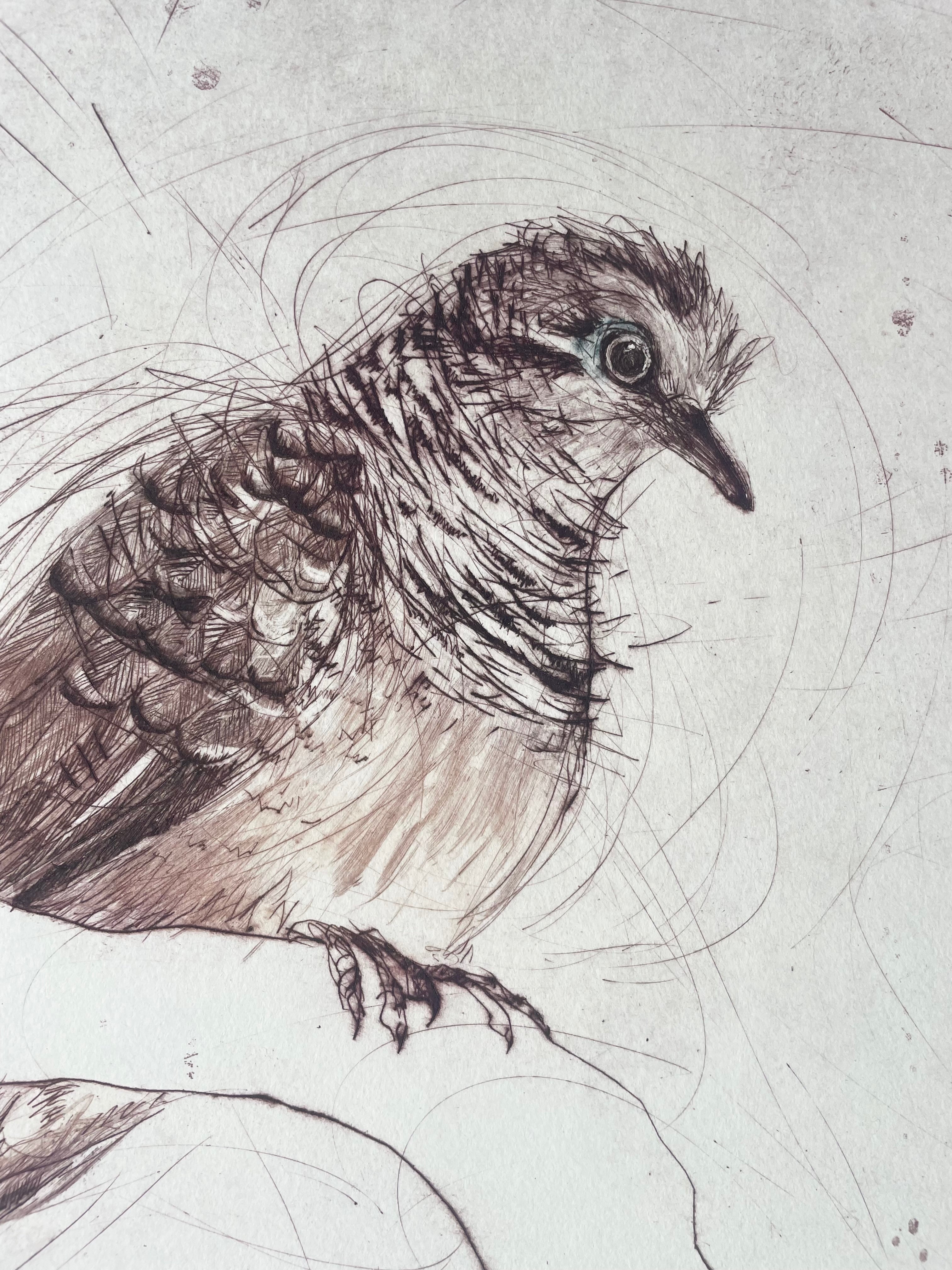 Original Drypoint Etching - Peaceful Doves
