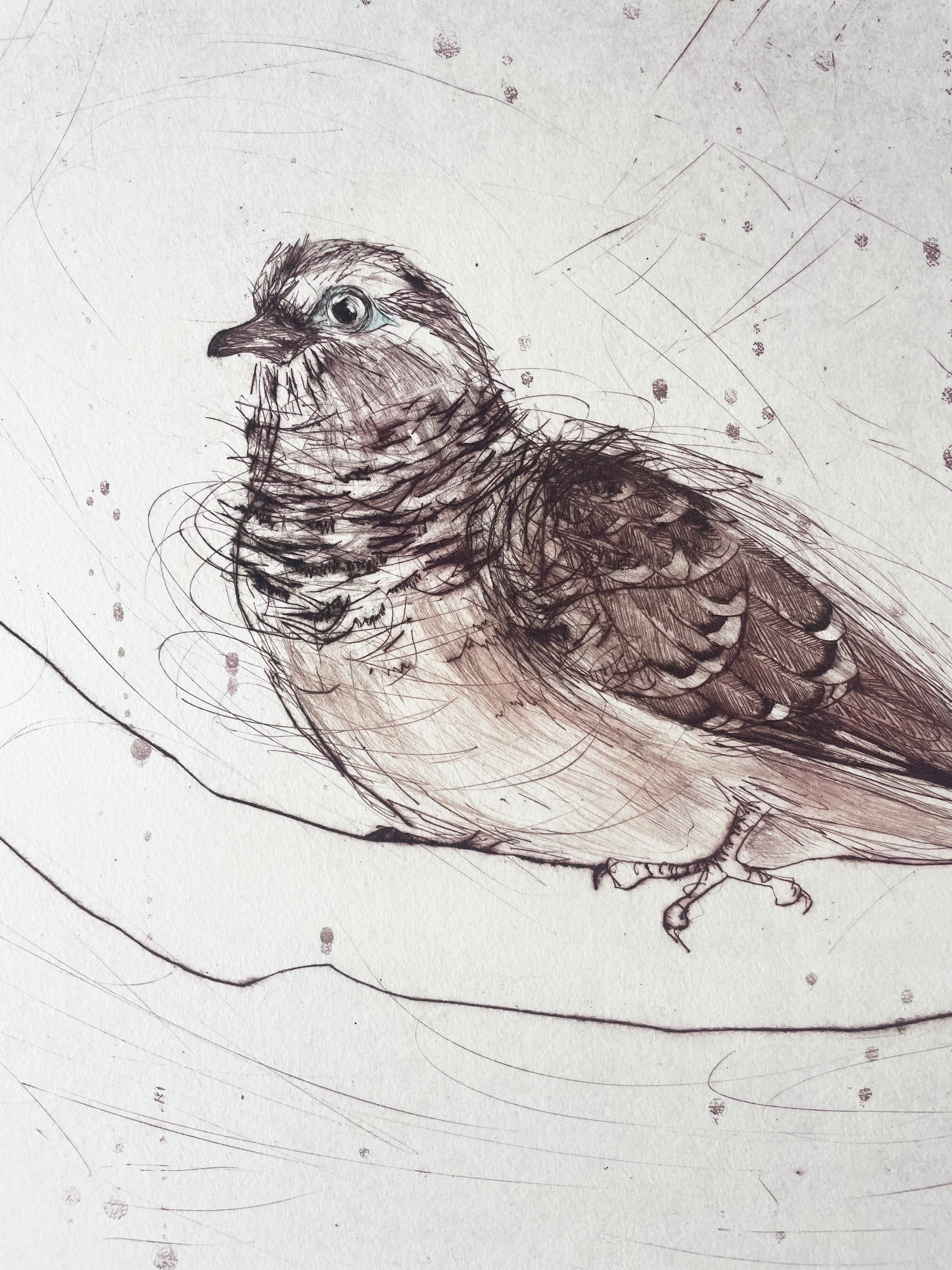 Original Drypoint Etching - Peaceful Doves