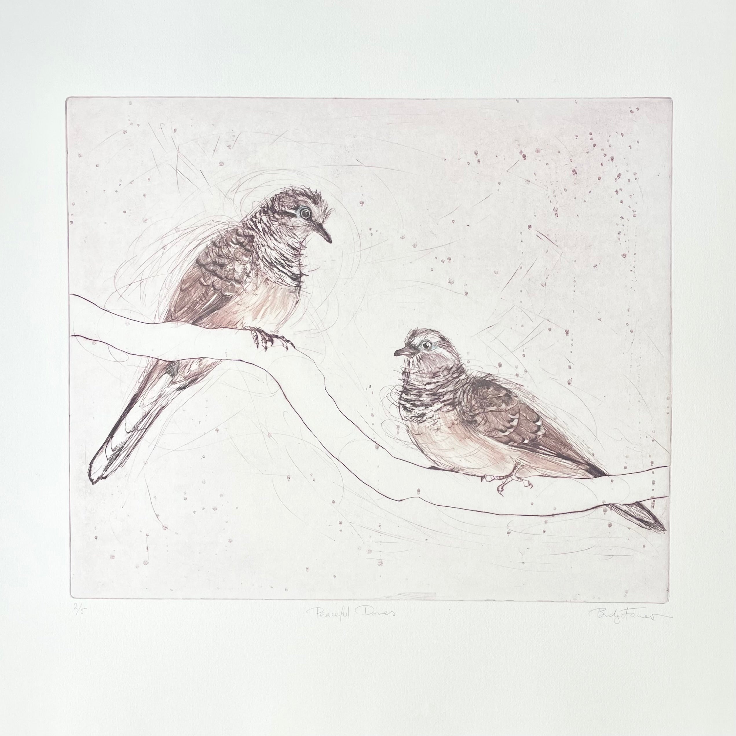 Original Drypoint Etching - Peaceful Doves