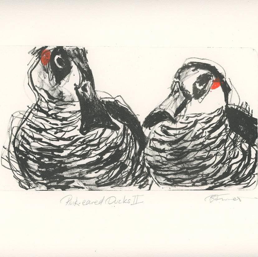 Lithograph - Pink-eared Ducks II