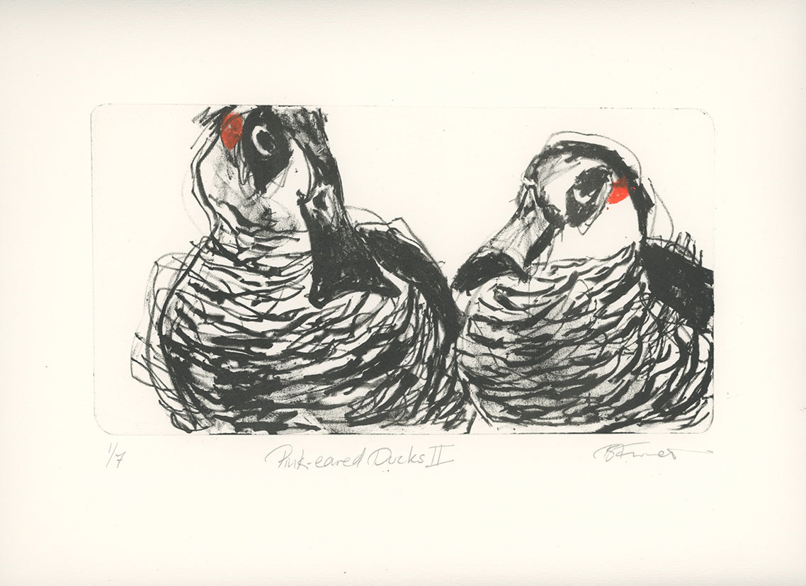 Lithograph - Pink-eared Ducks II