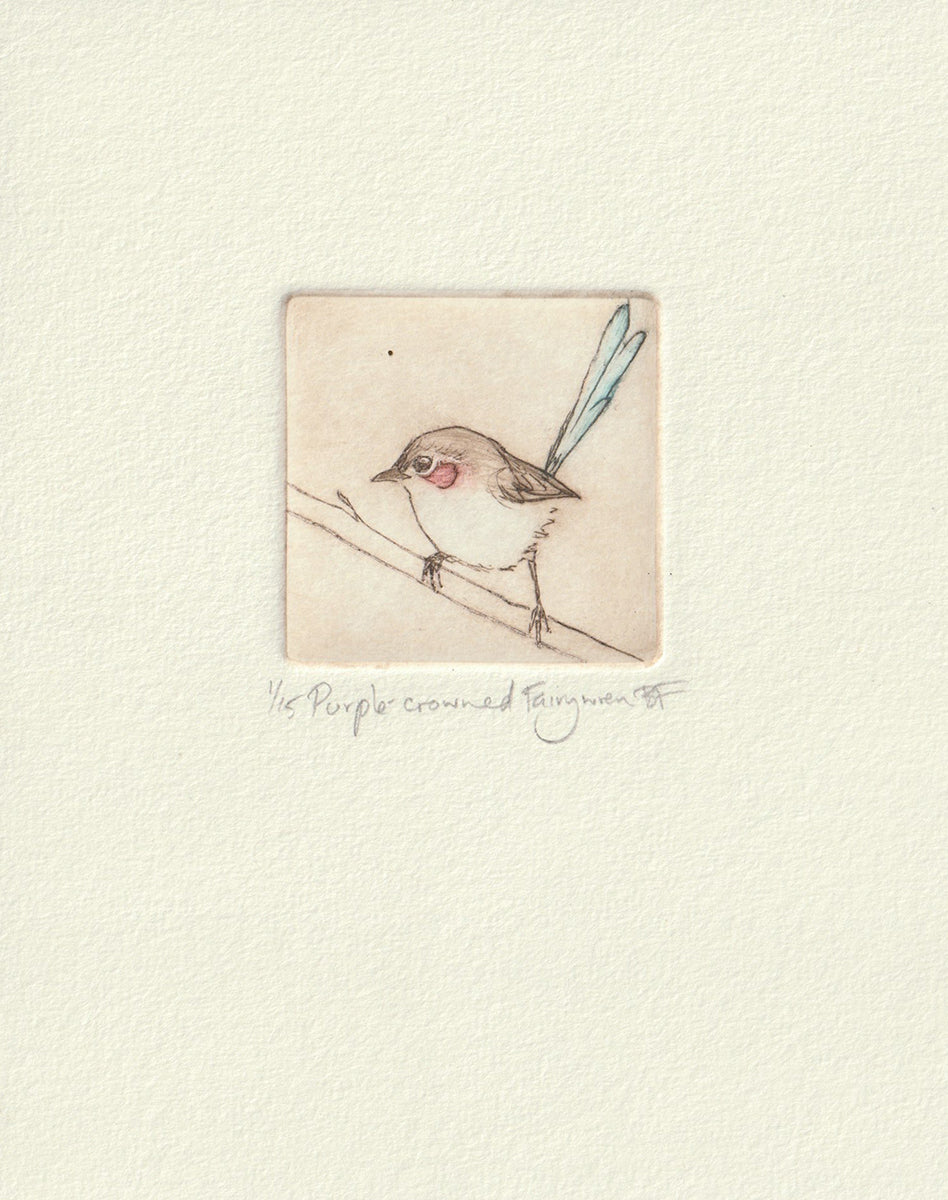 Original Etching - Purple-crowned Fairywren