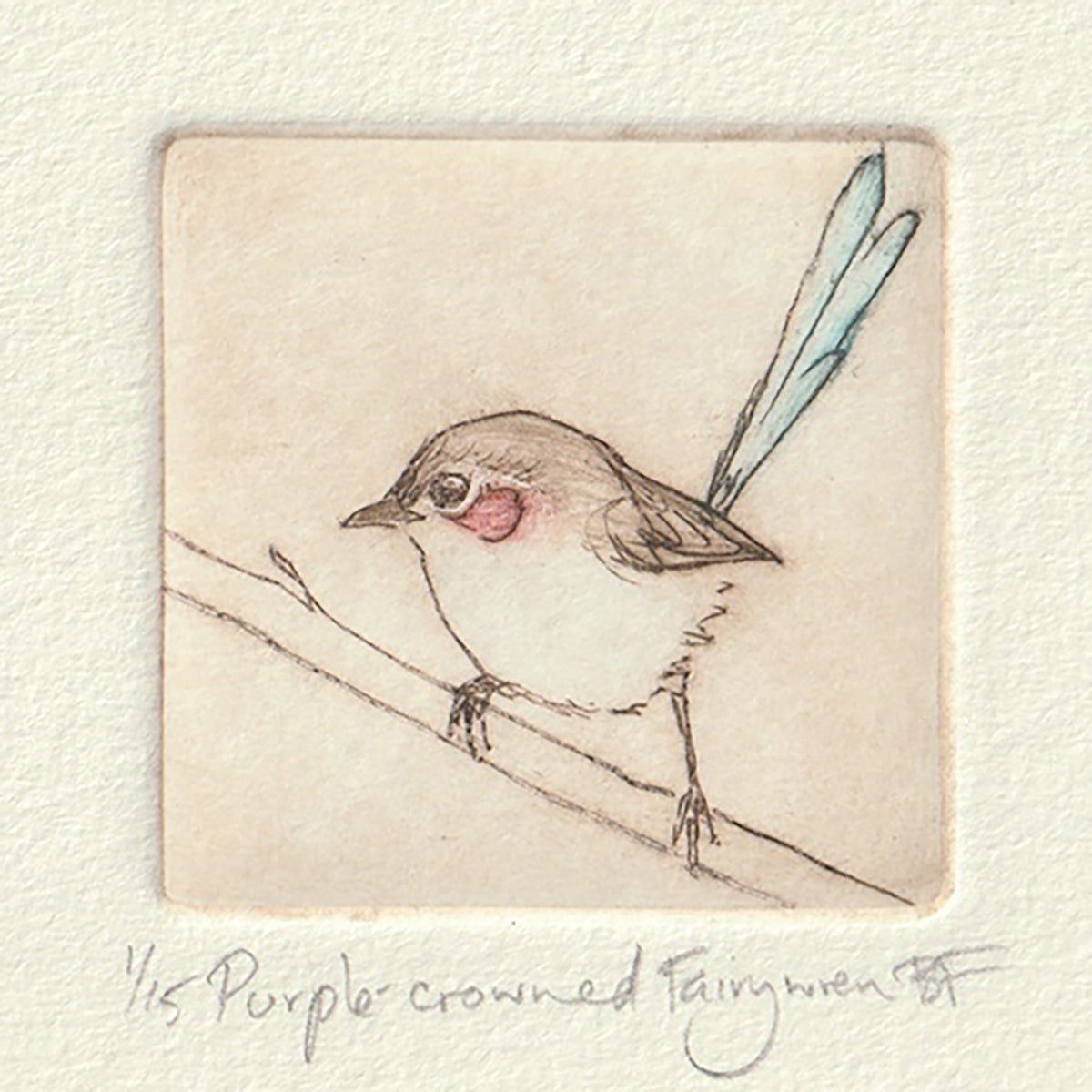 Original Etching - Purple-crowned Fairywren