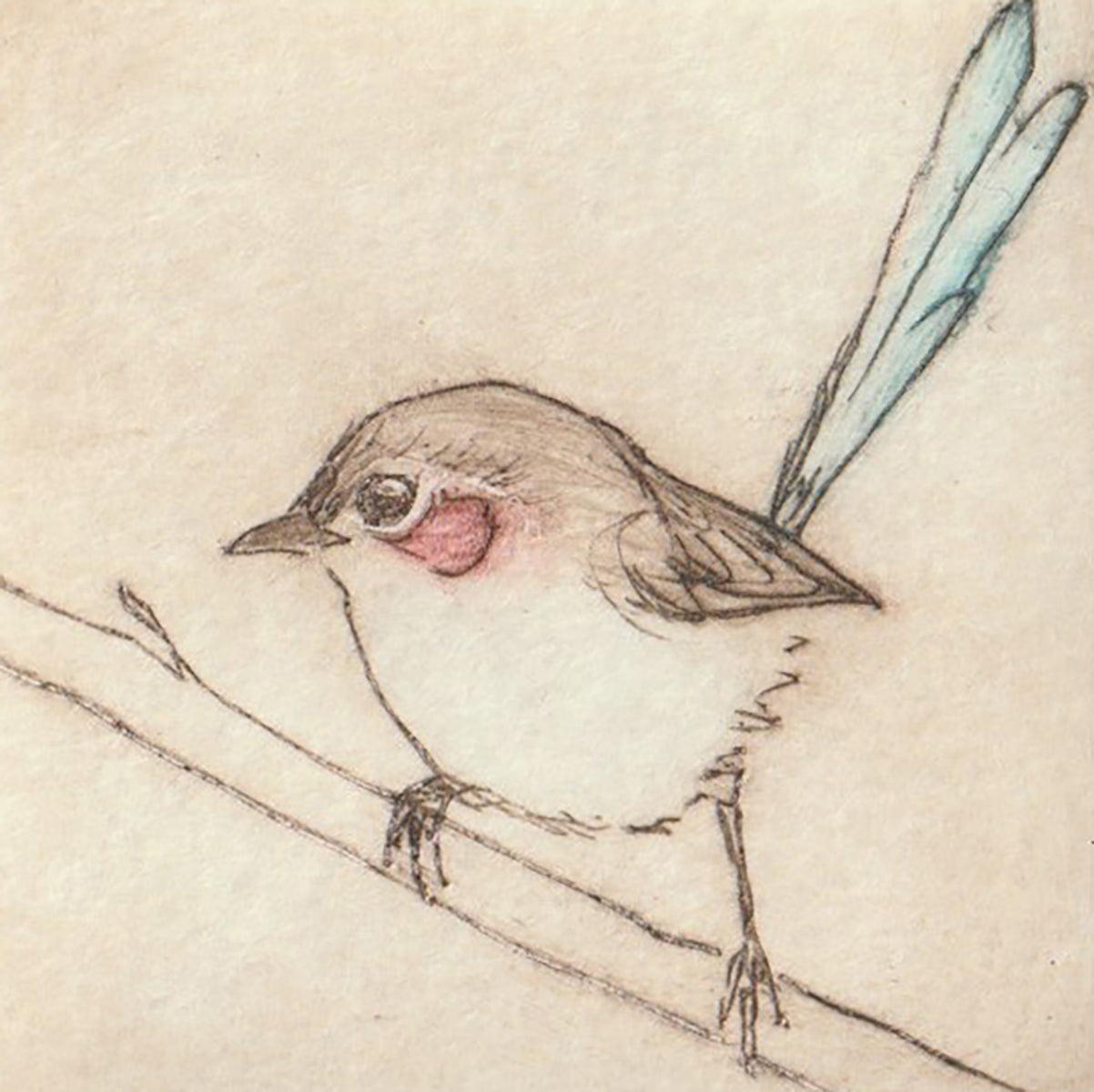 Original Etching - Purple-crowned Fairywren