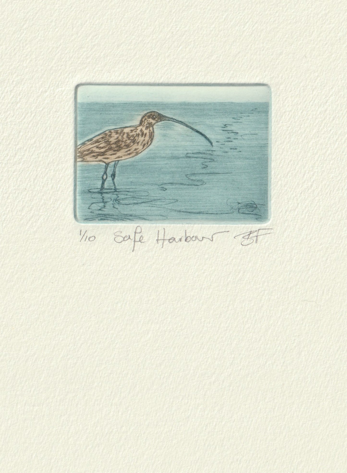 Original Etching - Safe Harbour (Eastern Curlew)