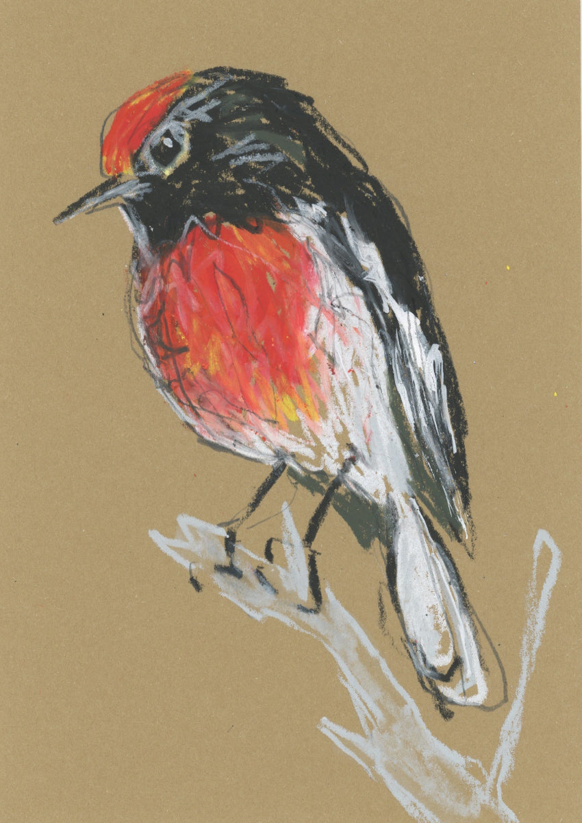 Male Red-capped Robin - A5 Original Drawing (D43)