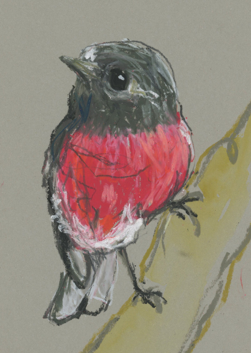 Male Rose Robin - A5 Original Drawing (D57)
