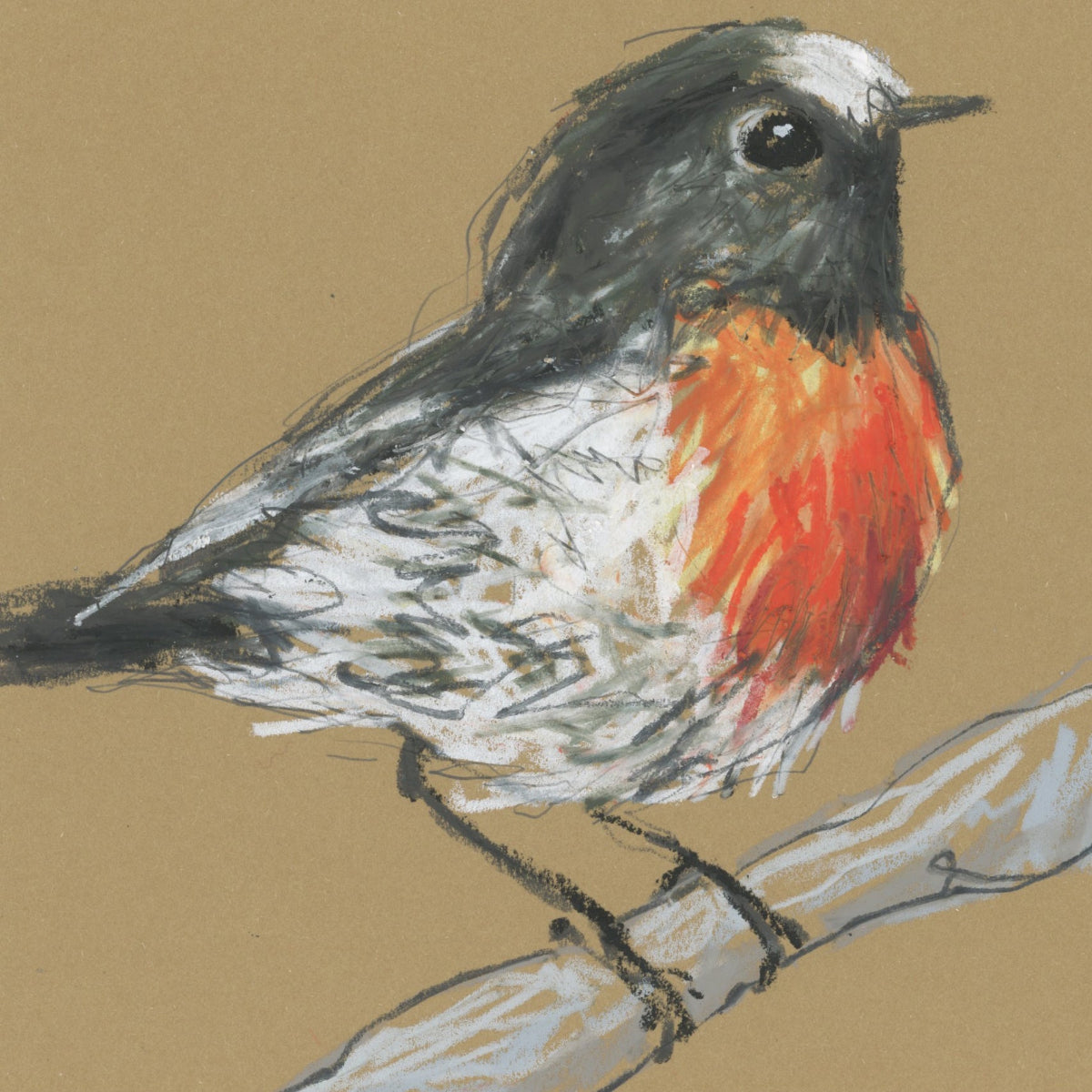 Male Scarlet Robin - A5 Original Drawing (D34)