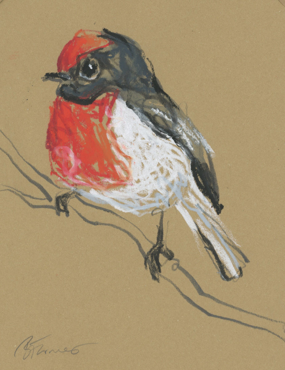 Red- Capped Robin - A5 Original Drawing (D38)