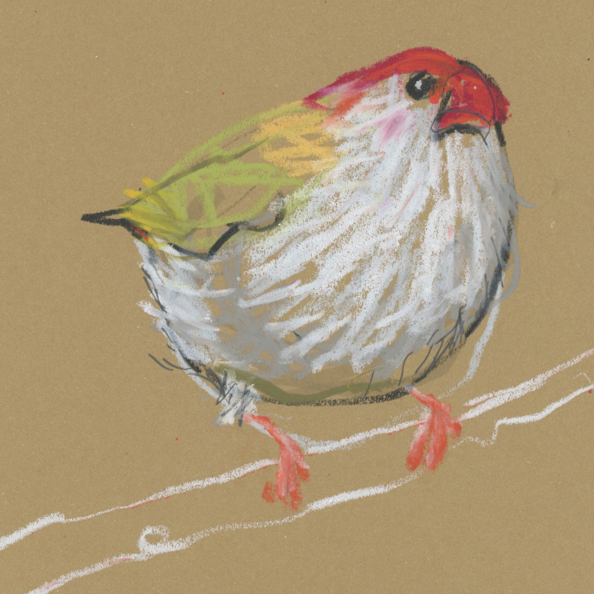 A loose line original drawing of a native Australian bird by Bridget Farmer