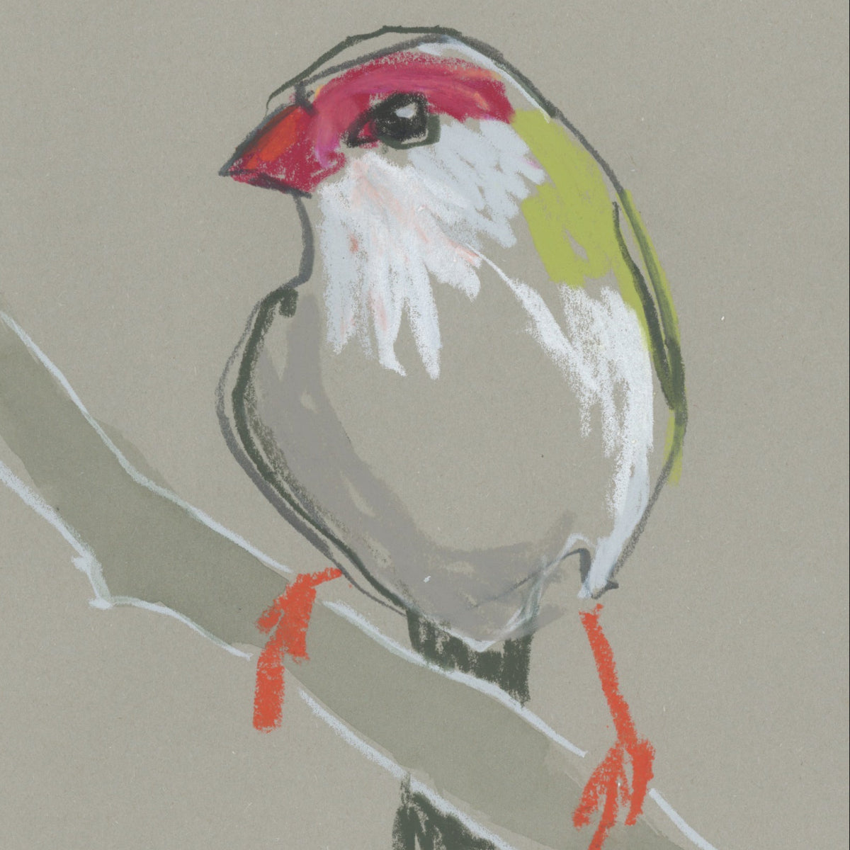 A loose line original drawing of a native Australian bird by Bridget Farmer