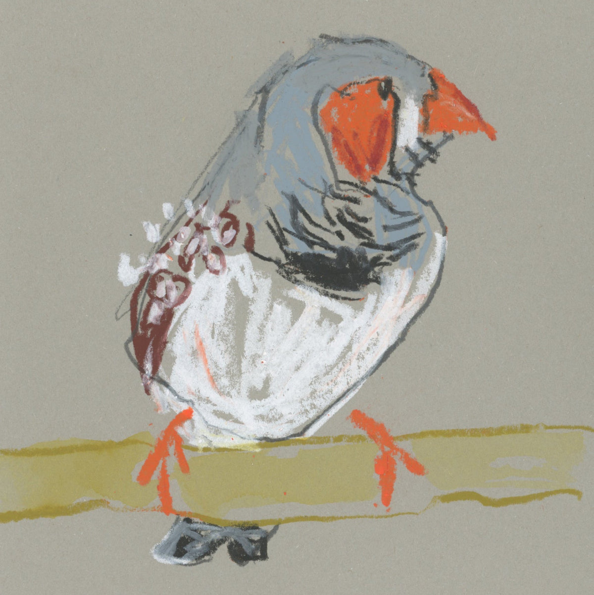 A loose line original drawing of a native Australian bird by Bridget Farmer