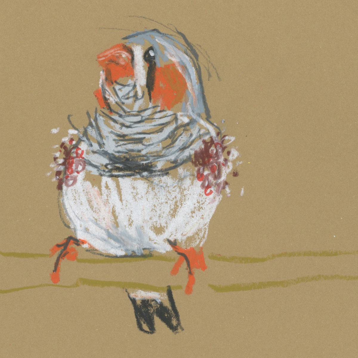 A loose line original drawing of a native Australian bird by Bridget Farmer