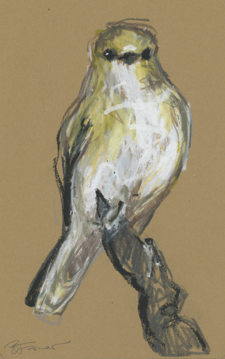 Jacky Winter - A5 Original Drawing (D39)