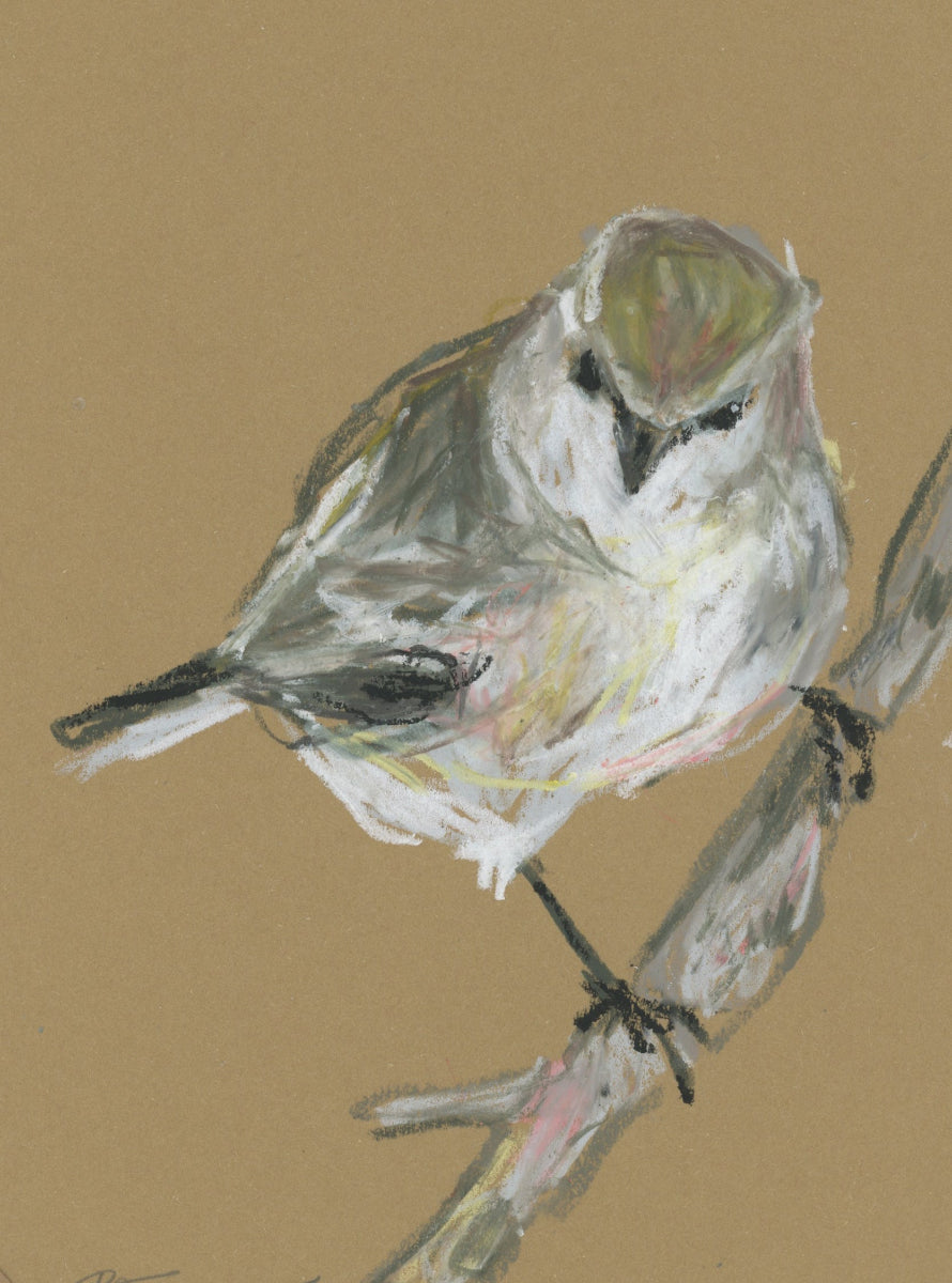 Jacky Winter - A5 Original Drawing (D48)
