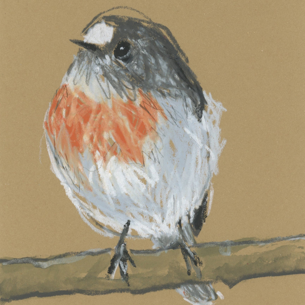 Female Scarlet Robin - A5 Original Drawing (D32)