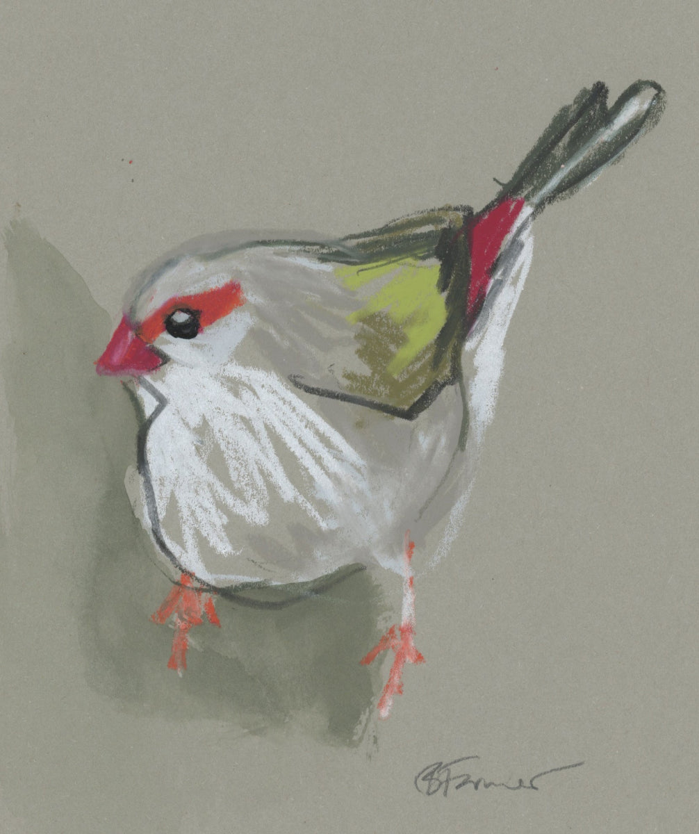 Red- Browed Finch - A5 Original Drawing (D56)
