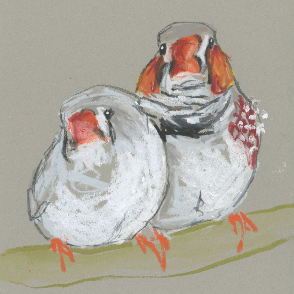 A loose line original drawing of a native Australian bird by Bridget Farmer