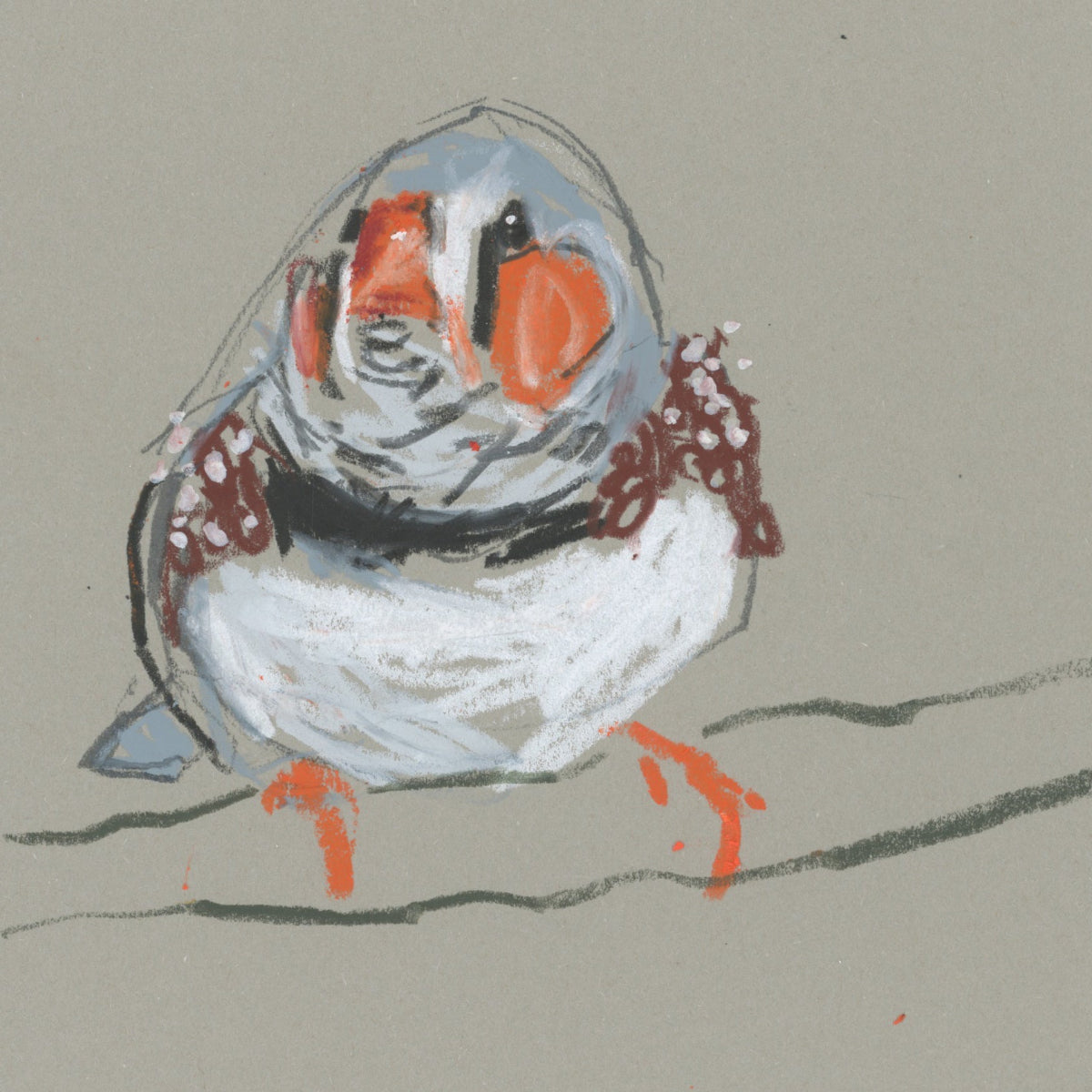 A loose line original drawing of a native Australian bird by Bridget Farmer
