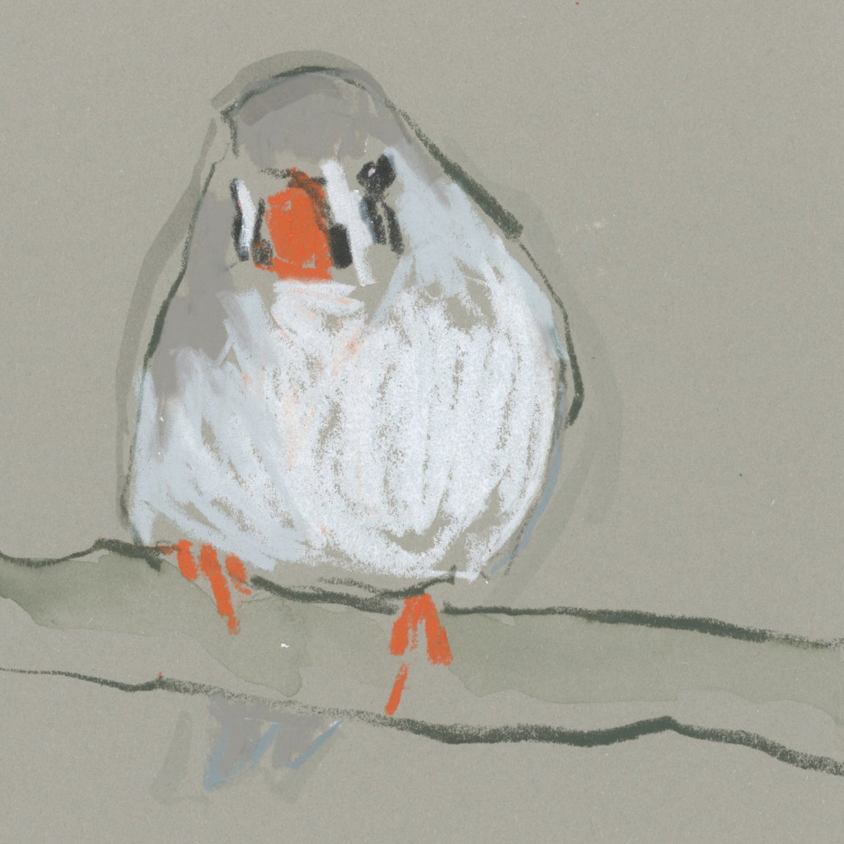 A loose line original drawing of a native Australian bird by Bridget Farmer