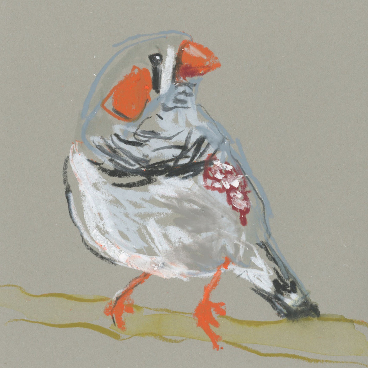 A loose line original drawing of a native Australian bird by Bridget Farmer