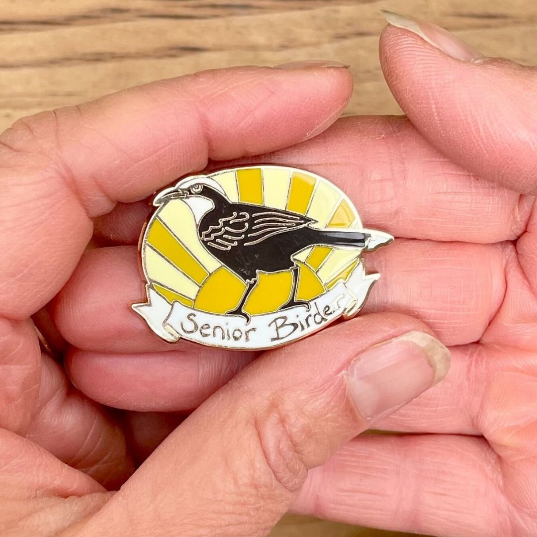 Senior Birder Enamel Pin - Grey-crowned Babbler