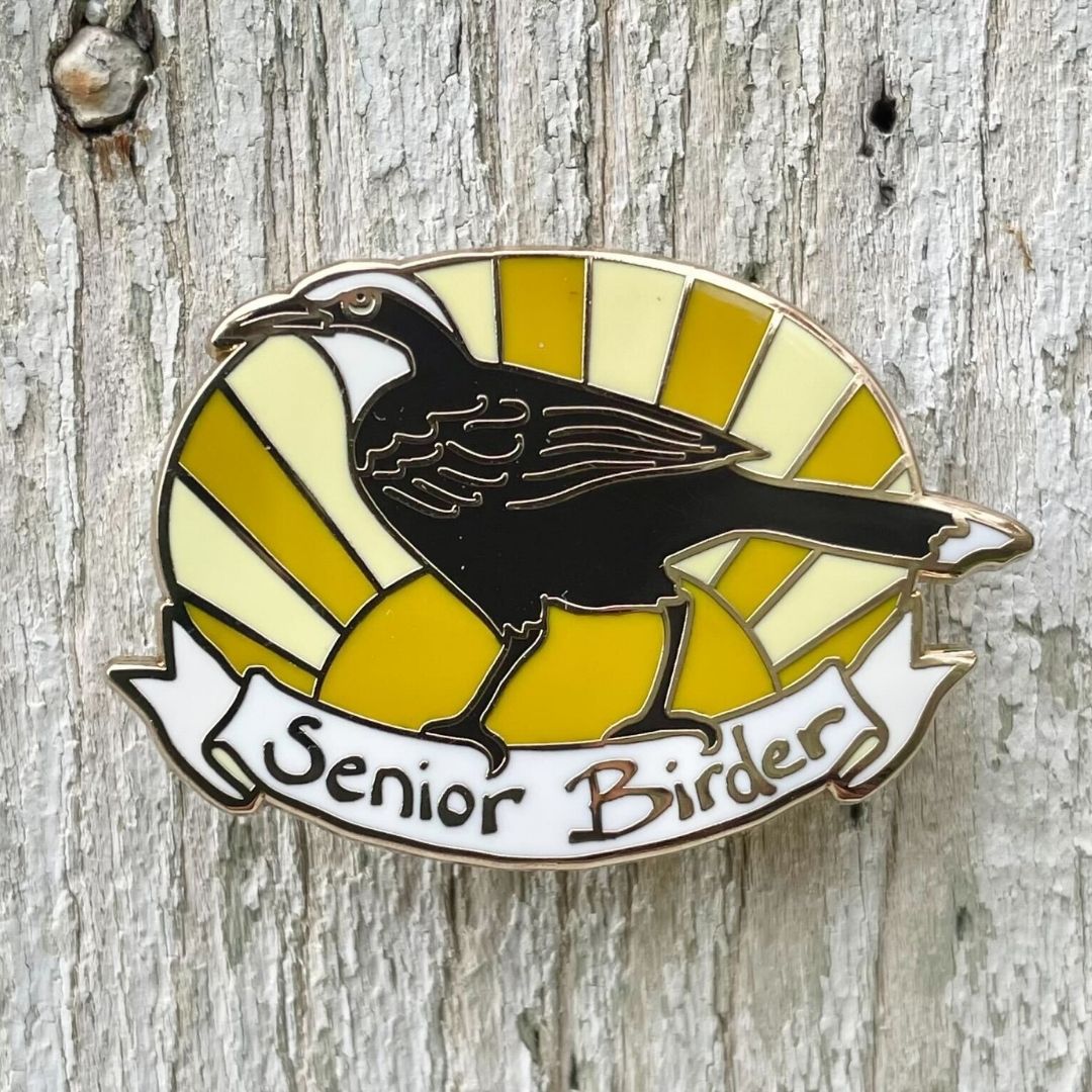 Senior Birder Enamel Pin - Grey-crowned Babbler