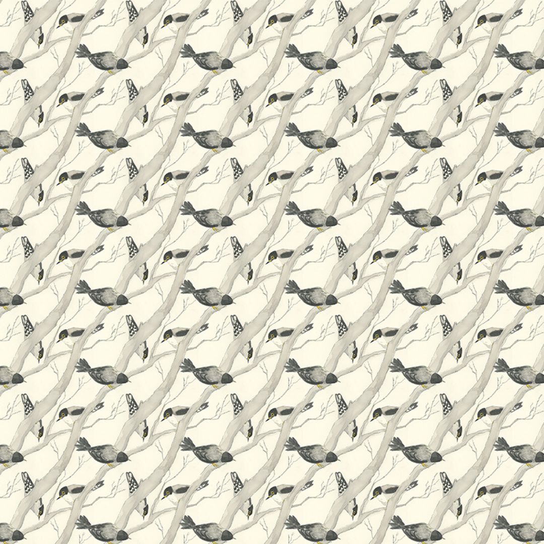 Sittellas Wrapping Paper