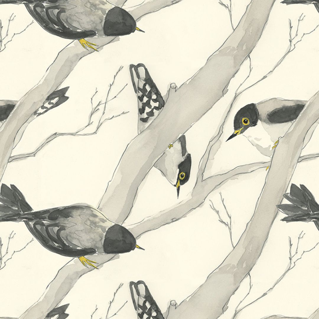 Sittellas Wrapping Paper