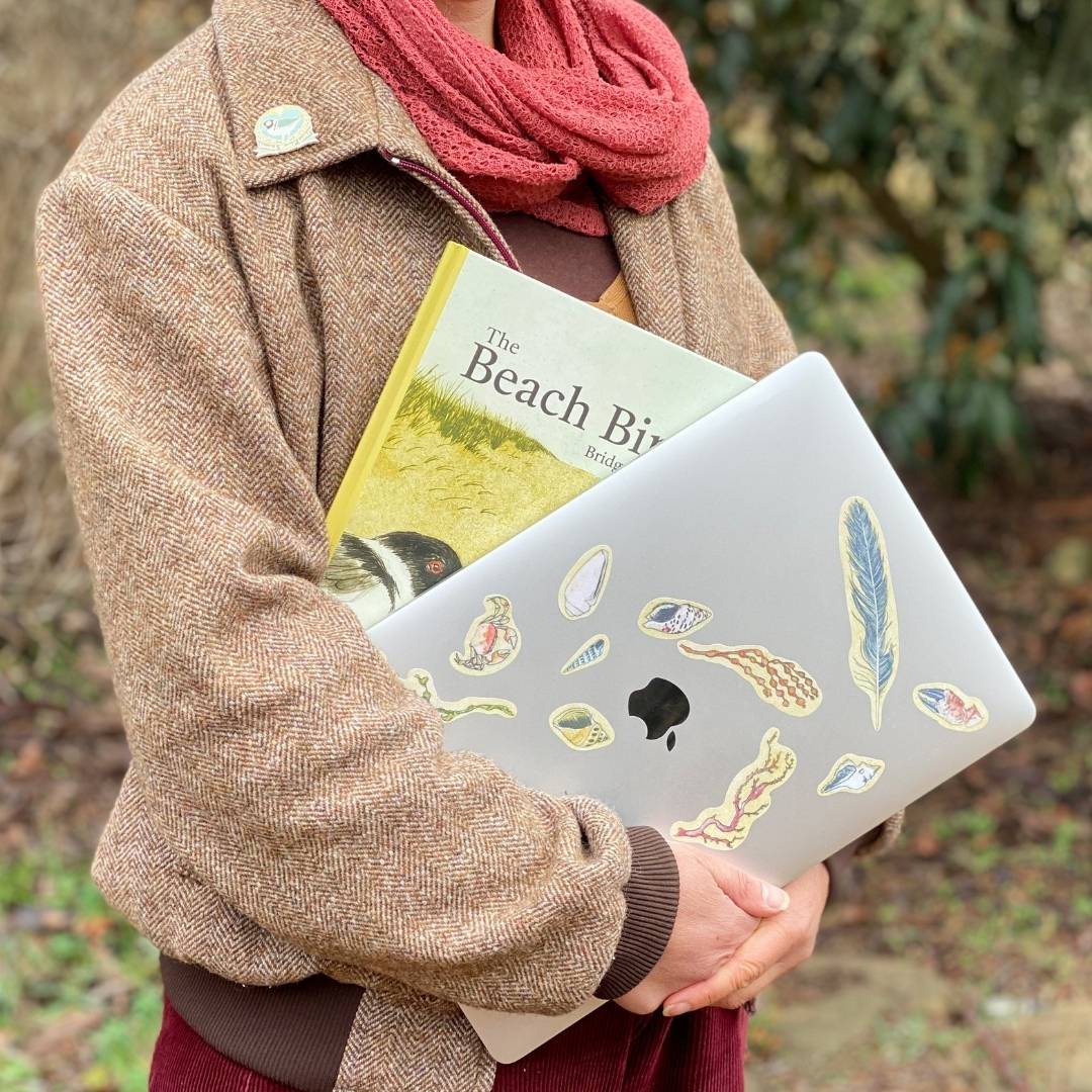 The Beach Birds - Lift The Flap Children's Bird Book