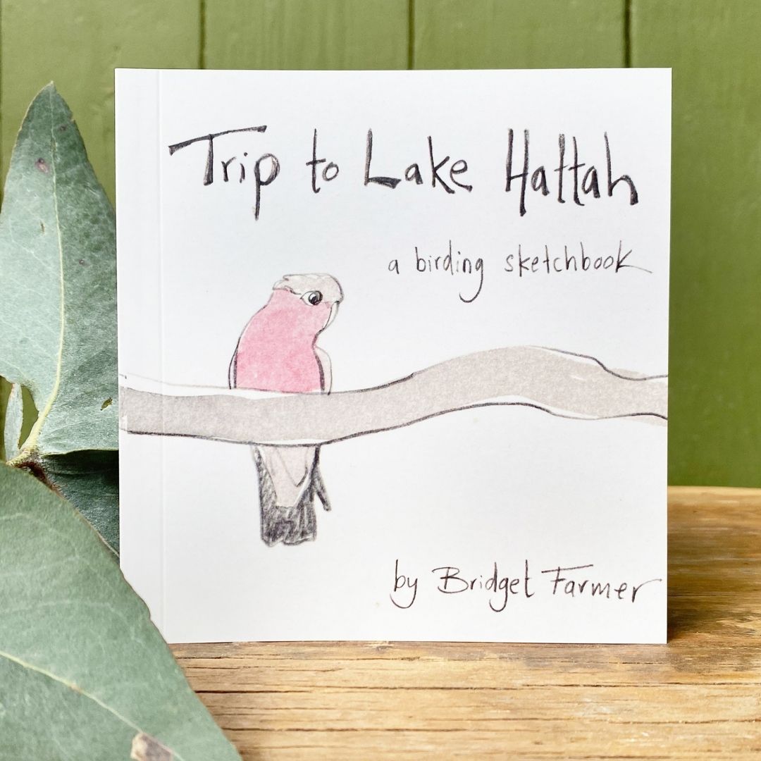 Trip to Lake Hattah - Artist Minibook